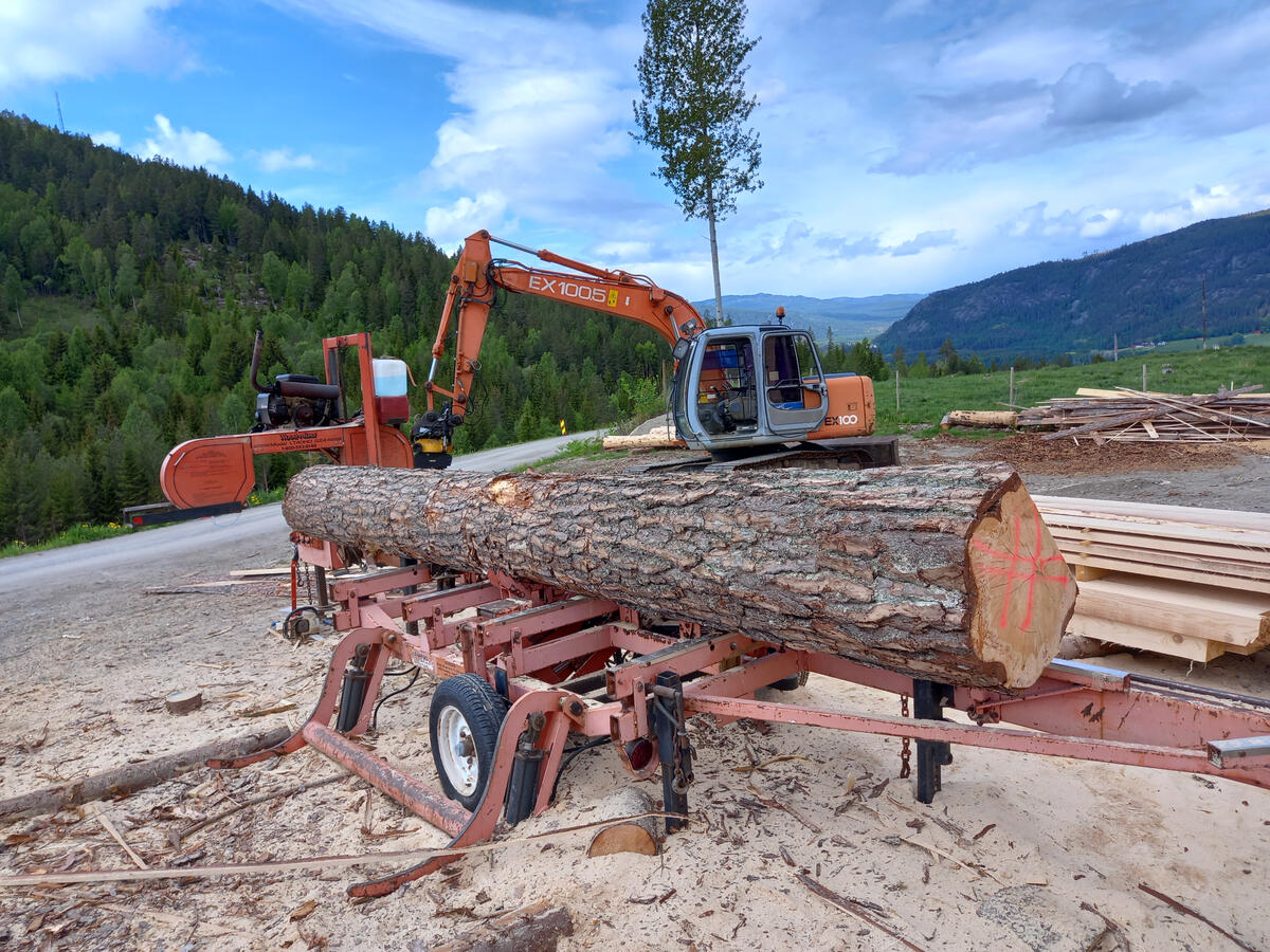 Laftestokk av lokal furu